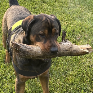 Fundraising Page: Paul Pedrow